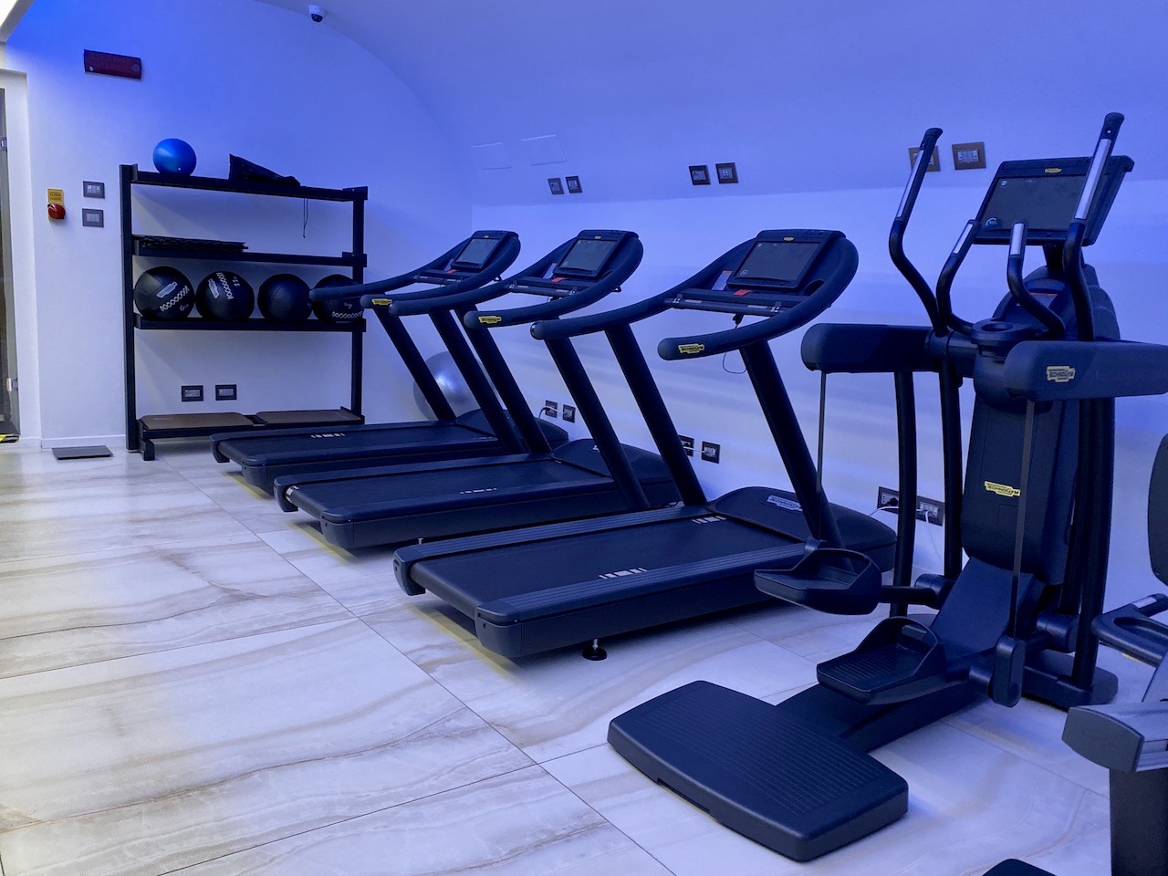 Aleph Rome Hotel, Hilton Updates Classic Style Hawaii Calling Gym (vault interior)