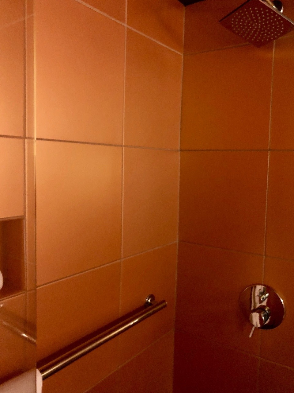 W New Orleans - French Quarter Hawaii Calling Very orange shower