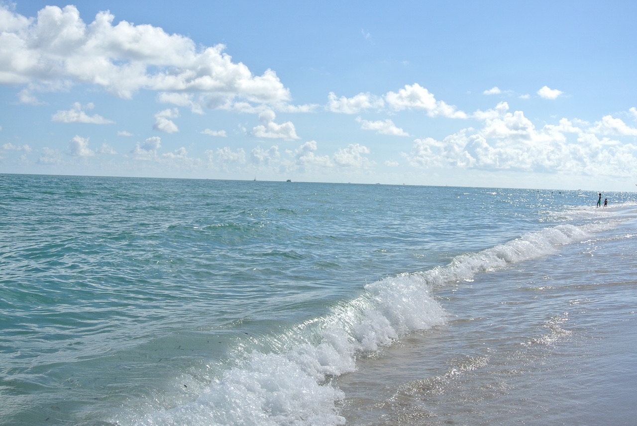 The Confidante - Hyatt Unbound Collection Hawaii Calling Miami Beach