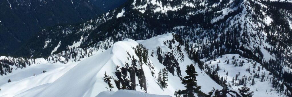The Best Time Of Year To Visit Seattle In 2023 Hawaii Calling Seattle Skiing