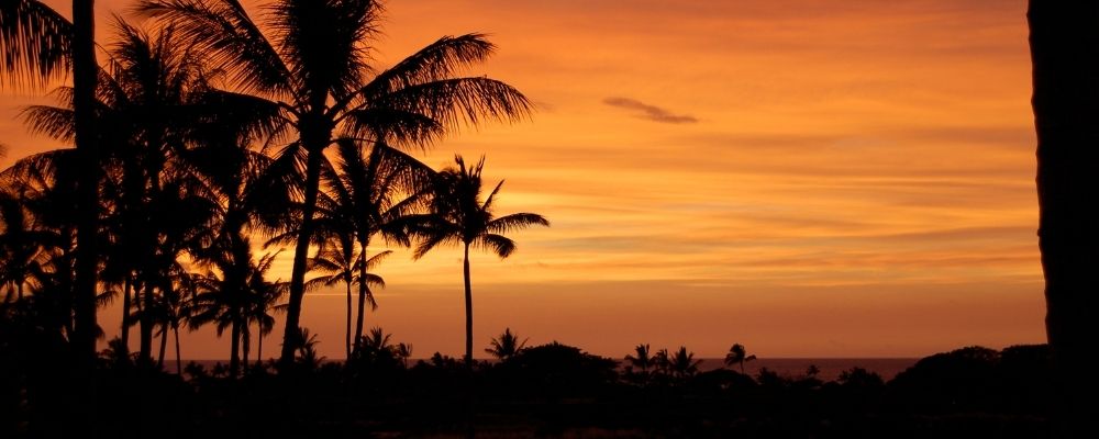 The 27 Best Luaus In Hawaii - By Island (2025) Hawaii Calling Hawaii Loa Luau at Fairmont Orchid