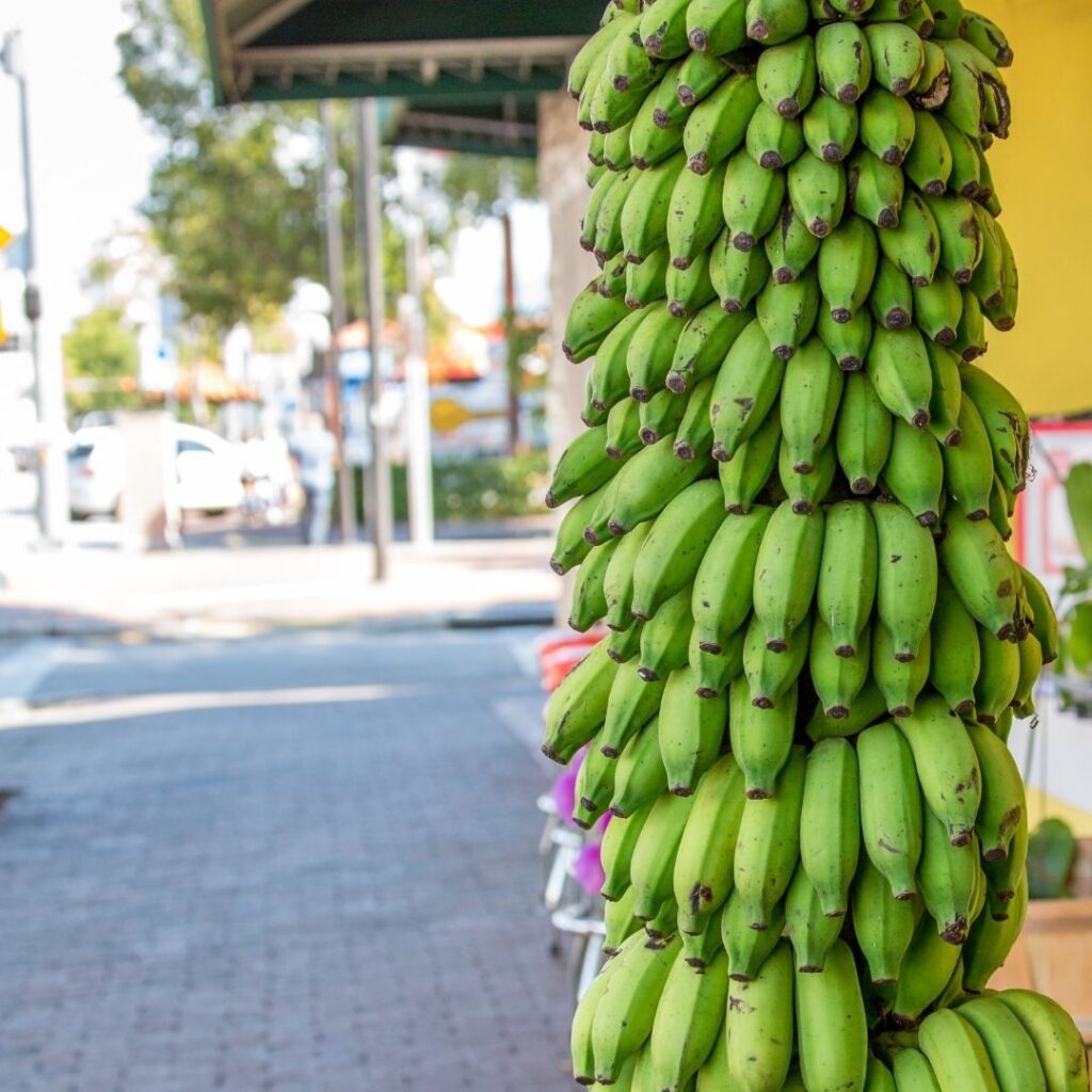Little Havana