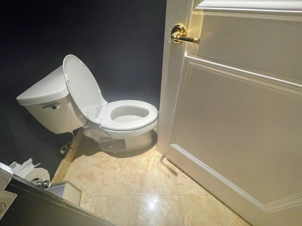 Review & Video: The Ritz-Carlton Washington DC, Refined Luxury Hawaii Calling a toilet in a bathroom