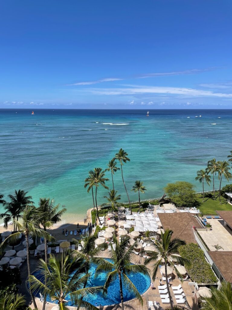 a beach with palm trees and a body of water