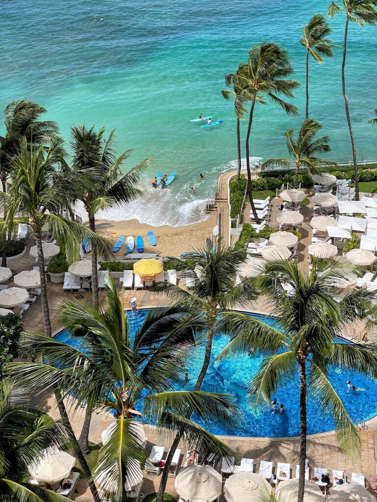 a swimming pool and palm trees by the ocean