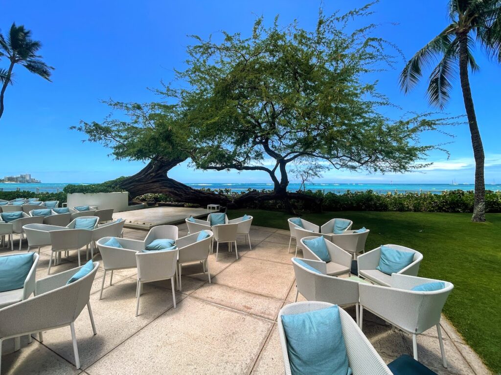 a patio with chairs and a tree by the water