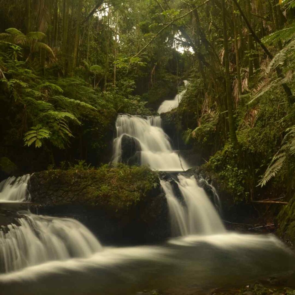 Luxury Oahu 7 Day Itinerary 2023 Hawaii Calling a waterfall in a forest