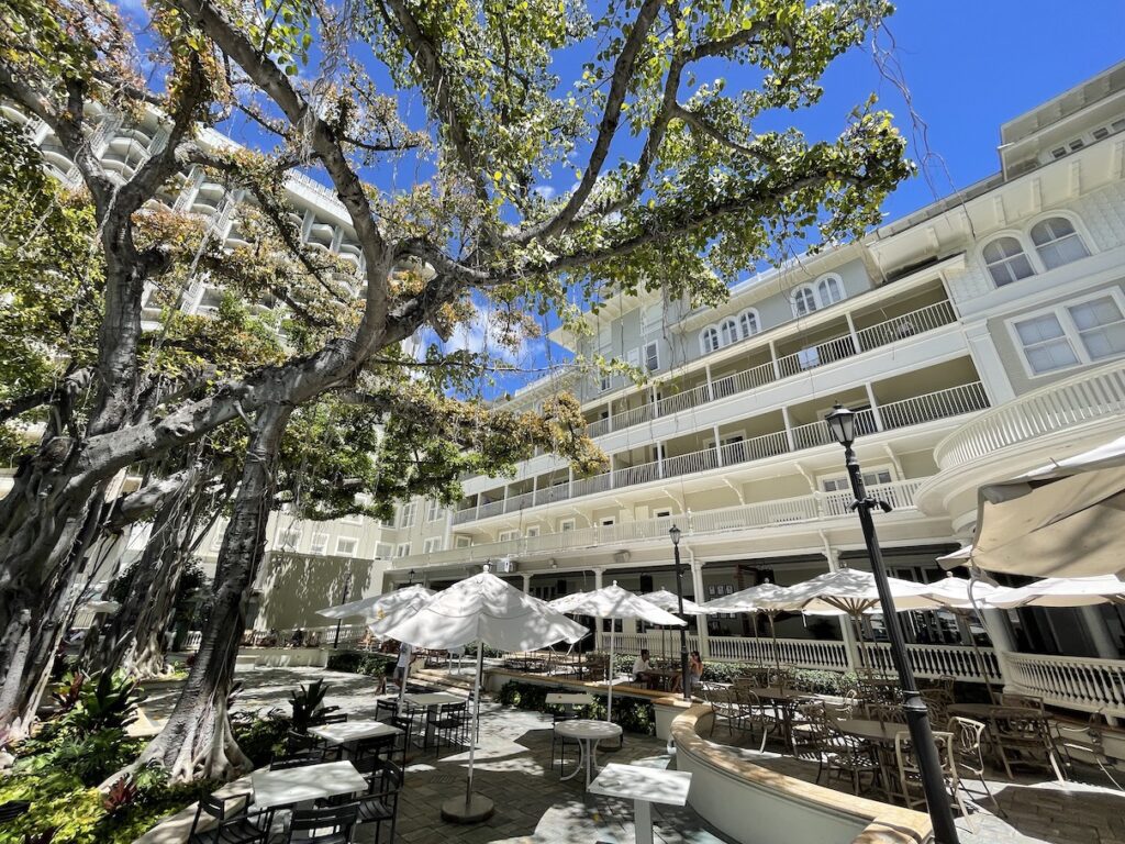 Review & Video: Moana Surfrider, Waikiki Beach Beauty Hawaii Calling a tree with white umbrellas and tables in front of a building