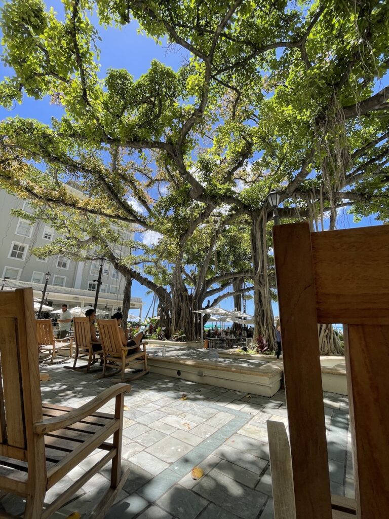 Review & Video: Moana Surfrider, Waikiki Beach Beauty Hawaii Calling a group of people sitting under a tree