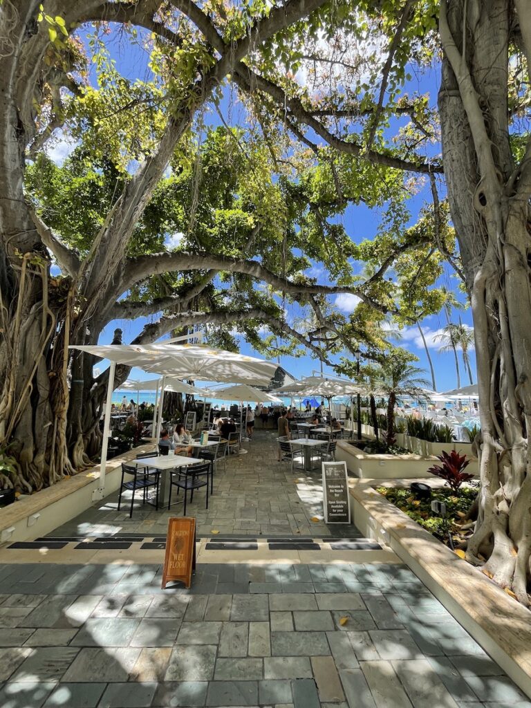 Review & Video: Moana Surfrider, Waikiki Beach Beauty Hawaii Calling a walkway with tables and umbrellas under a tree