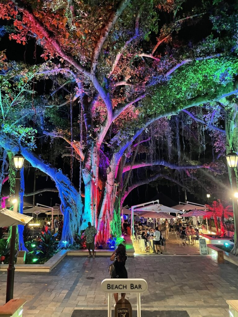 Review & Video: Moana Surfrider, Waikiki Beach Beauty Hawaii Calling a tree with colorful lights