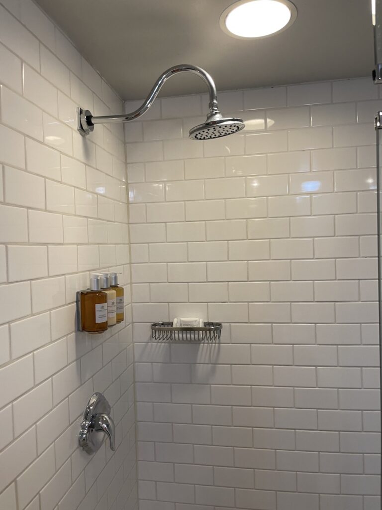 Review & Video: Hotel Republic San Diego, Autograph Collection Hawaii Calling a shower head and shower head in a bathroom