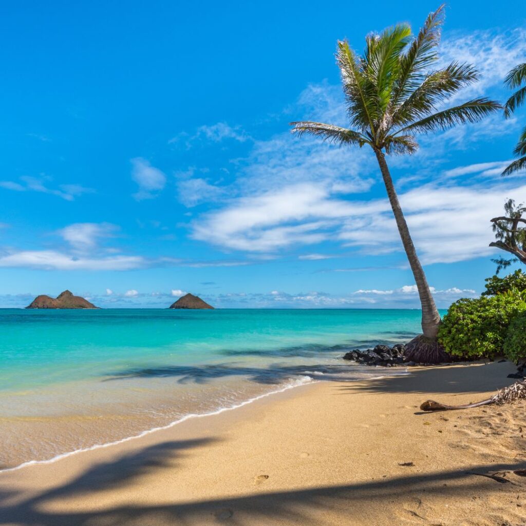 The Perfect Oahu 7 Day Budget Itinerary 2023 Hawaii Calling a beach with palm trees and blue water