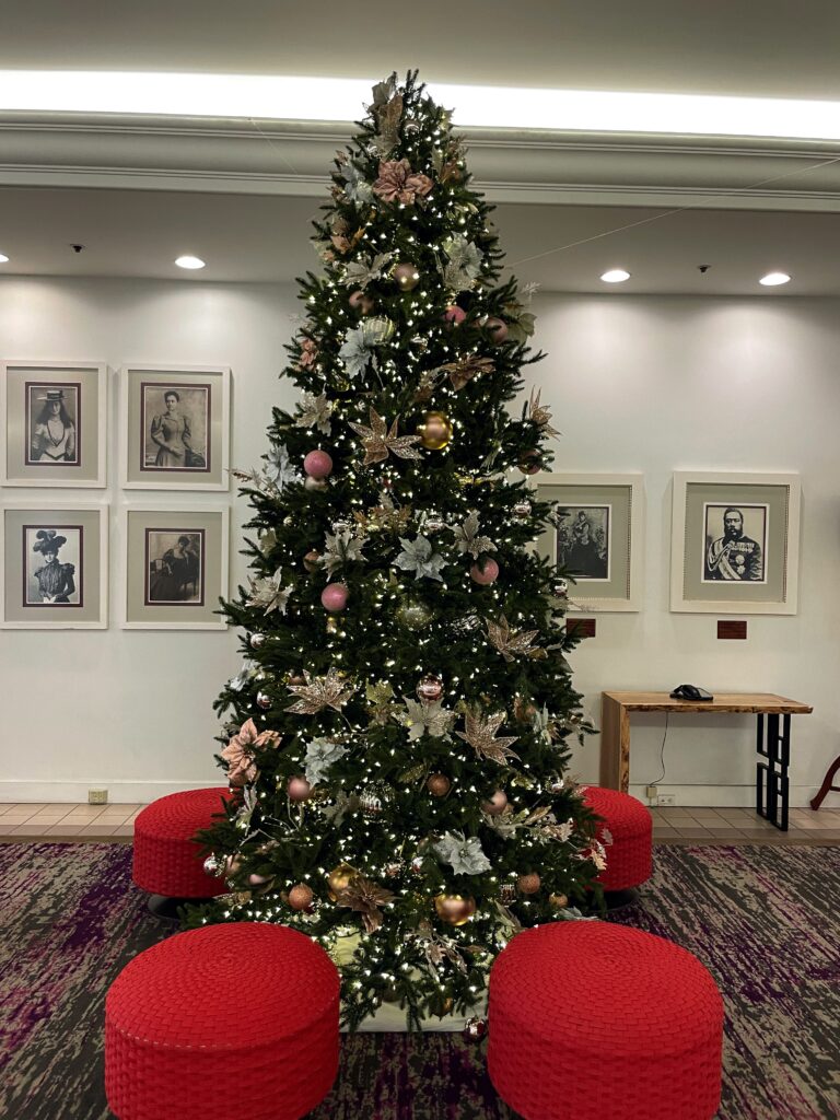 17 Gorgeous Waikiki Hotel Christmas Trees Hawaii Calling a christmas tree in a room