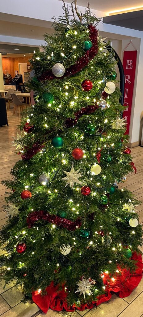 17 Gorgeous Waikiki Hotel Christmas Trees Hawaii Calling a christmas tree with lights and ornaments