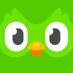 41 Top Hawaii Travel Apps: Must-Have Tools (2025) Hawaii Calling a cartoon of a bird