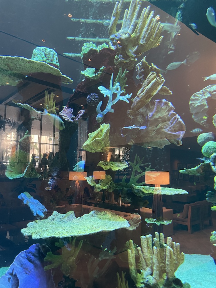 Review & Video: 'Alohilani Resort Waikiki Beach, A Unique Oasis Hawaii Calling a fish tank with corals and other fish