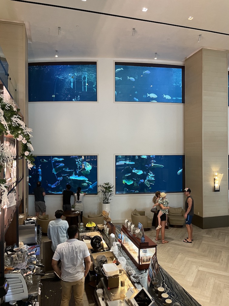 Review & Video: 'Alohilani Resort Waikiki Beach, A Unique Oasis Hawaii Calling a group of people in a room with fish tanks