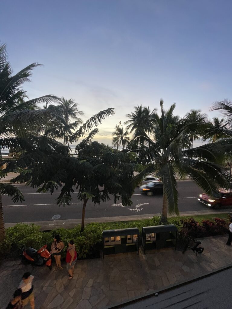 Review & Video: 'Alohilani Resort Waikiki Beach, A Unique Oasis Hawaii Calling a palm trees and a road