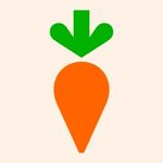 41 Top Hawaii Travel Apps: Must-Have Tools (2025) Hawaii Calling a carrot with a green leaf