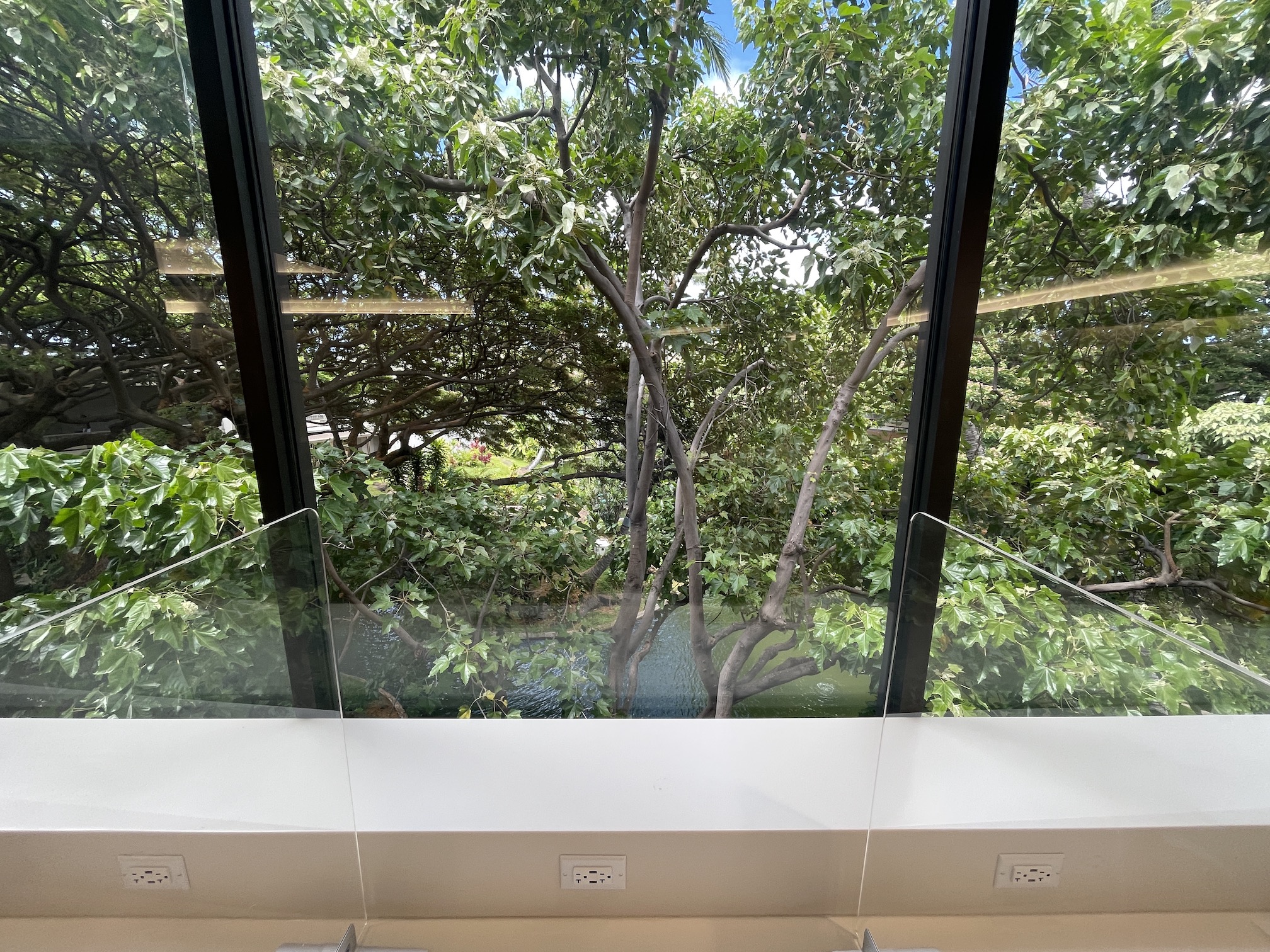 Honolulu Admirals Club | Guide & Review (2025) Hawaii Calling a window with glass railings and trees outside