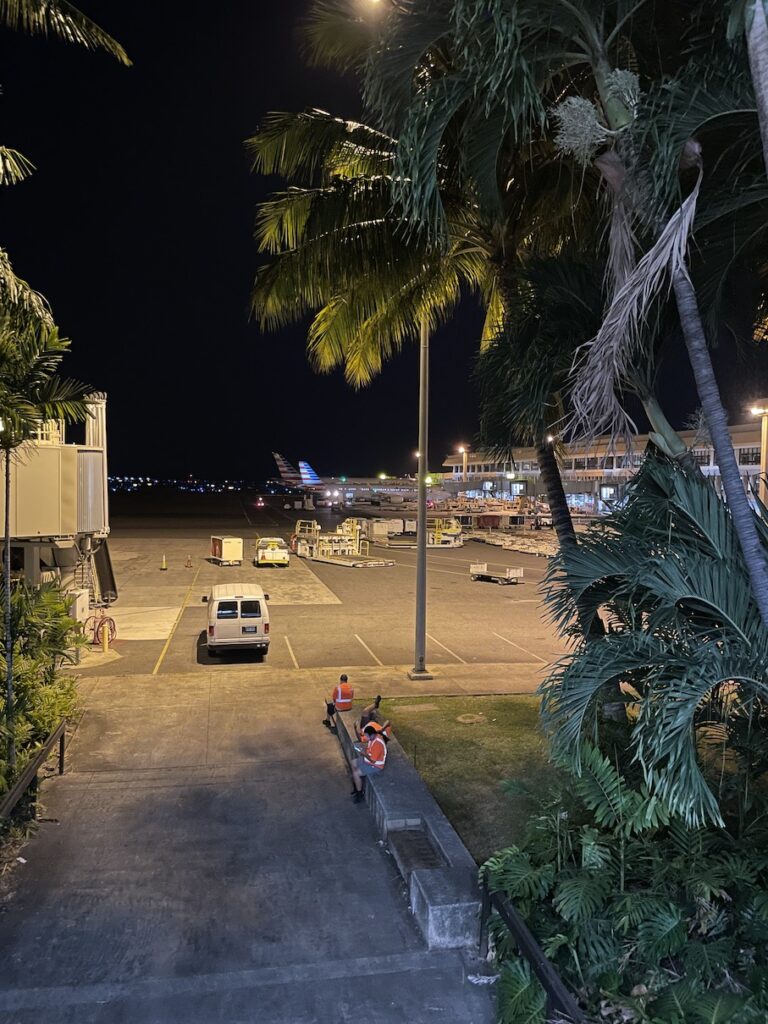 Review: American Airlines Main Cabin Extra Boeing 787-9 (HNL-PHX) Hawaii Calling a group of people in orange vests sitting on a concrete bench near palm trees