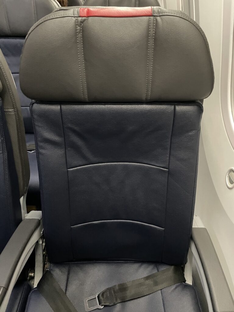 Review: American Airlines Main Cabin Extra Boeing 787-9 (HNL-PHX) Hawaii Calling American Airlines Main Cabin Extra Boeing 787 Seat