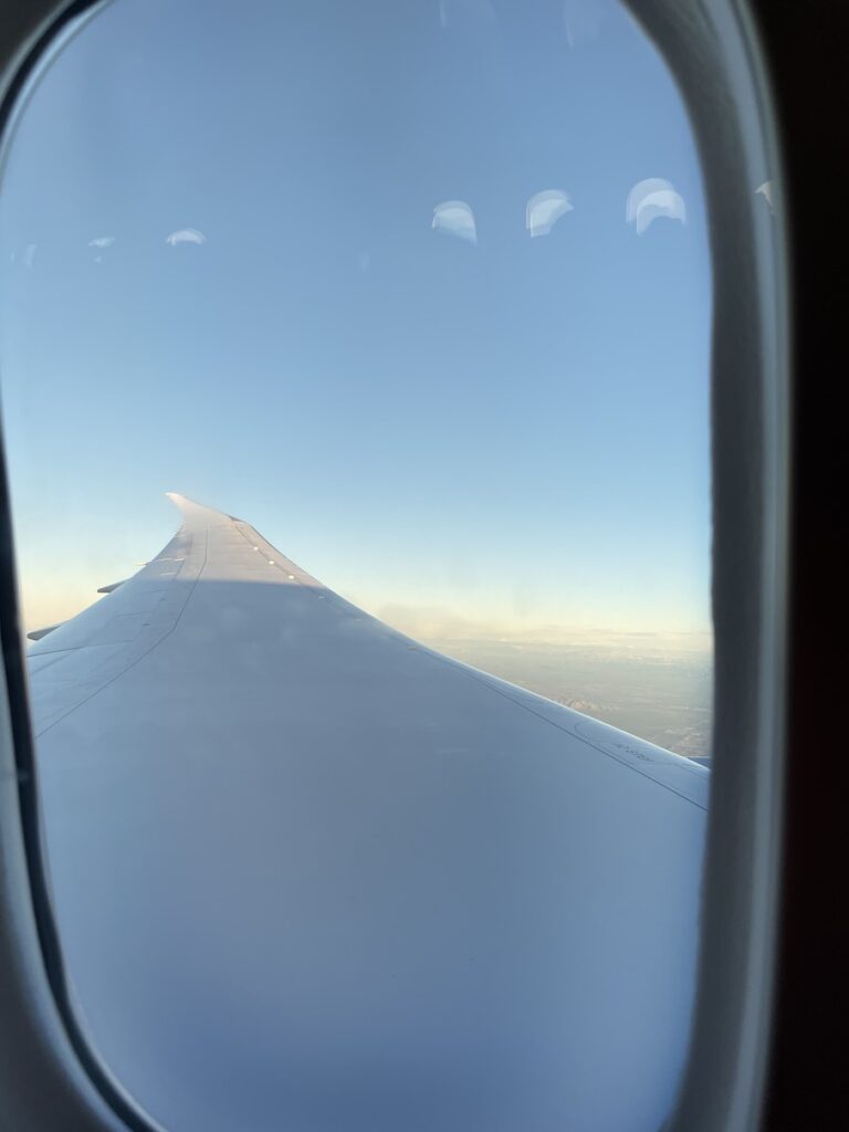 Review: American Airlines Main Cabin Extra Boeing 787-9 (HNL-PHX) Hawaii Calling American Airlines Main Cabin Extra Boeing 787 wing tip