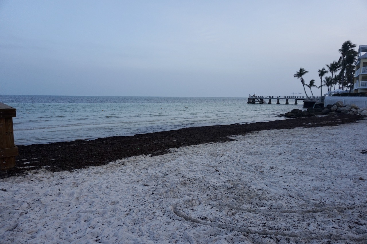 The Reach: Hilton's Key West Design Hotel Hawaii Calling Beach
