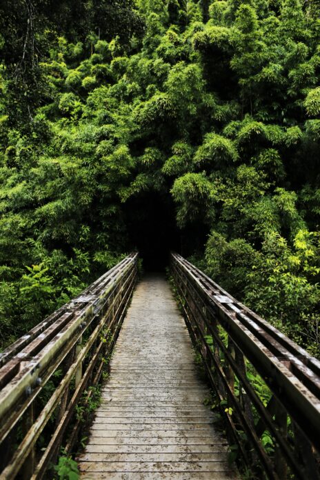 The Best Time To Visit Hawaii (2025) Hawaii Calling Hiking bridge on a clear day during the best time of year to visit Hawaii