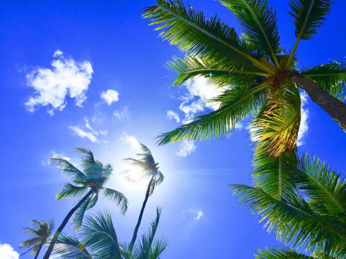 The Best Time To Visit Hawaii (2025) Hawaii Calling Travel Seasons In Hawaii