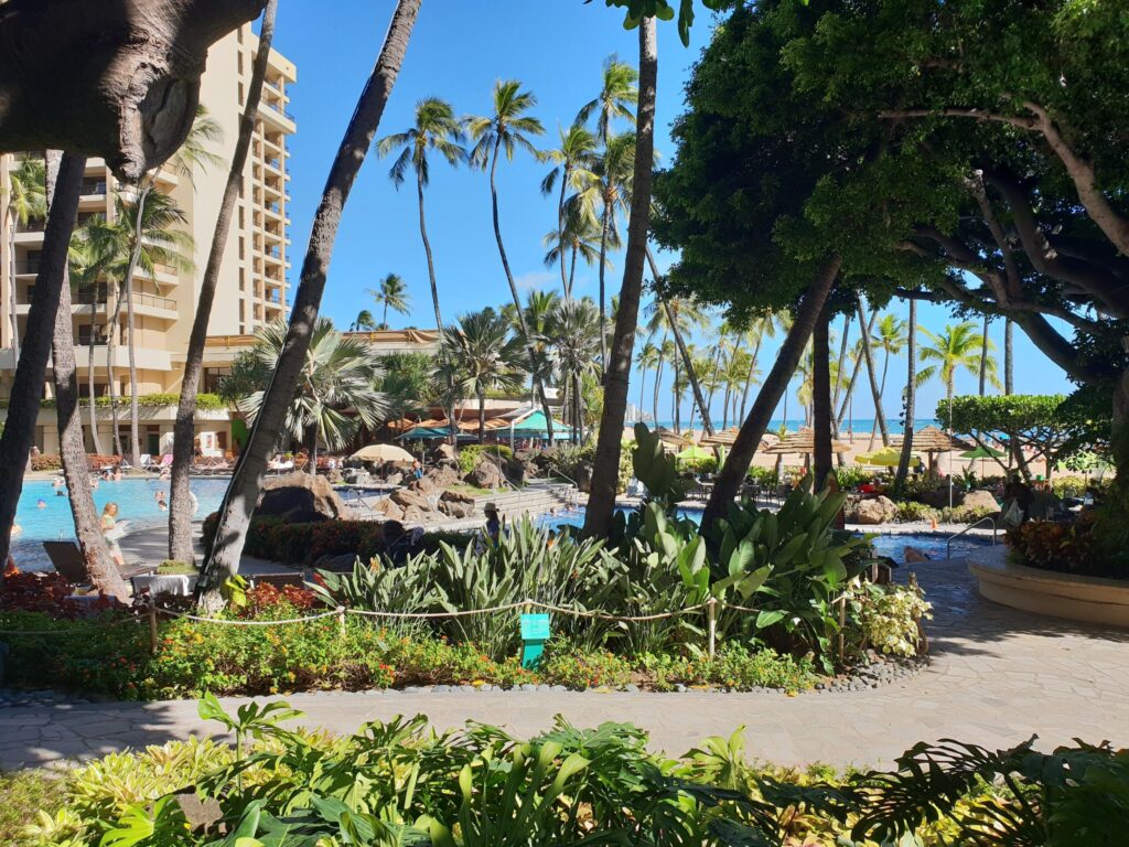 5 Best Family Hotels in Hawaii (2025) Hawaii Calling Beach of Waikiki