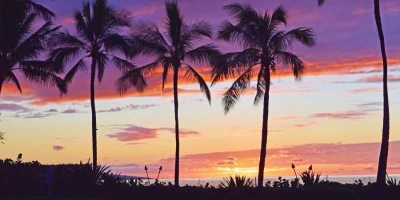 The 27 Best Luaus In Hawaii - By Island (2025) Hawaii Calling Ahi Lele Luau Fire Show