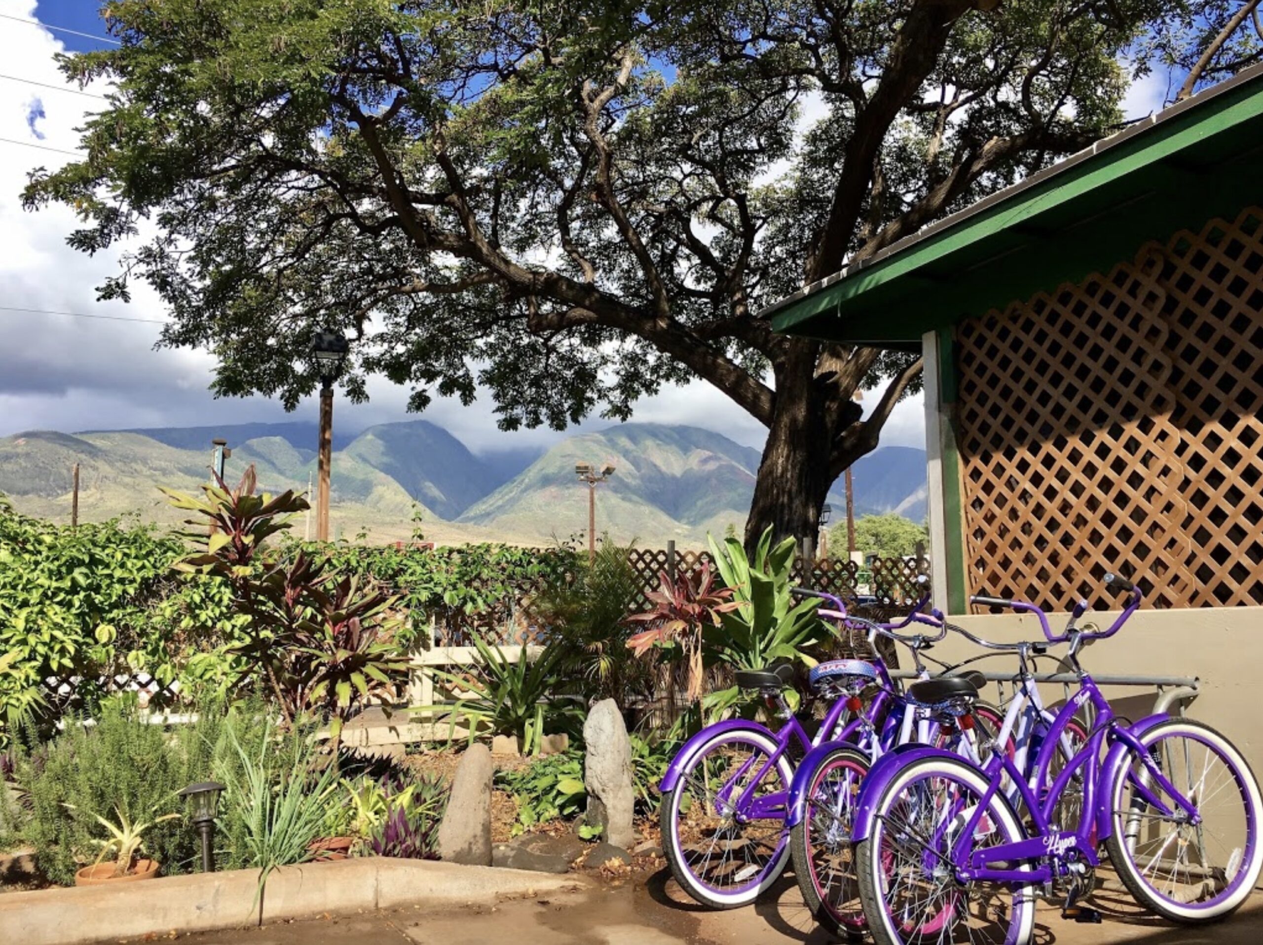 5 Best Budget Hotels on Maui (2025) Hawaii Calling One of the best budget hotels in Maui Hakuna Matata