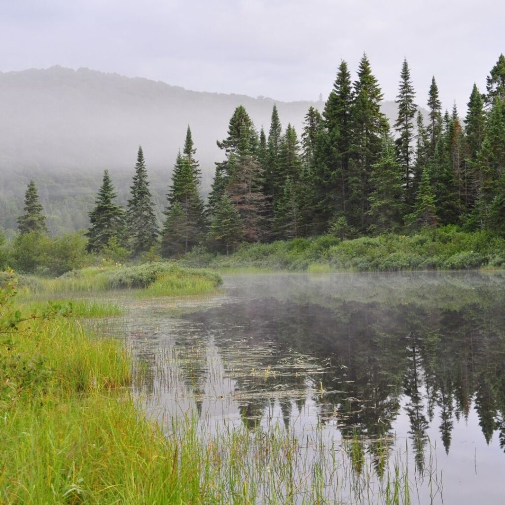11 Best Hotels in Mont-Tremblant Canada 2022 Hawaii Calling Lake view at Mont-Tremblant National Park