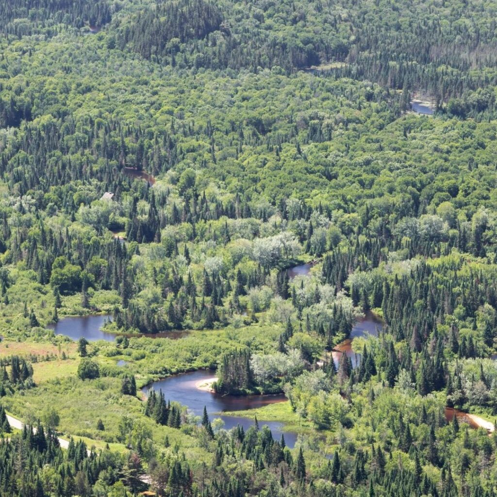 11 Best Hotels in Mont-Tremblant Canada 2022 Hawaii Calling Mont Tremblant National Park