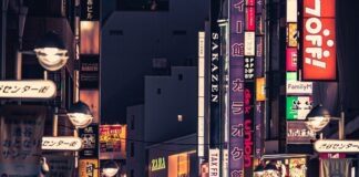 One Day in Tokyo Itinerary: Spoiled for Choice in Japan’s Megalopolis (2025) city lights in Tokyo