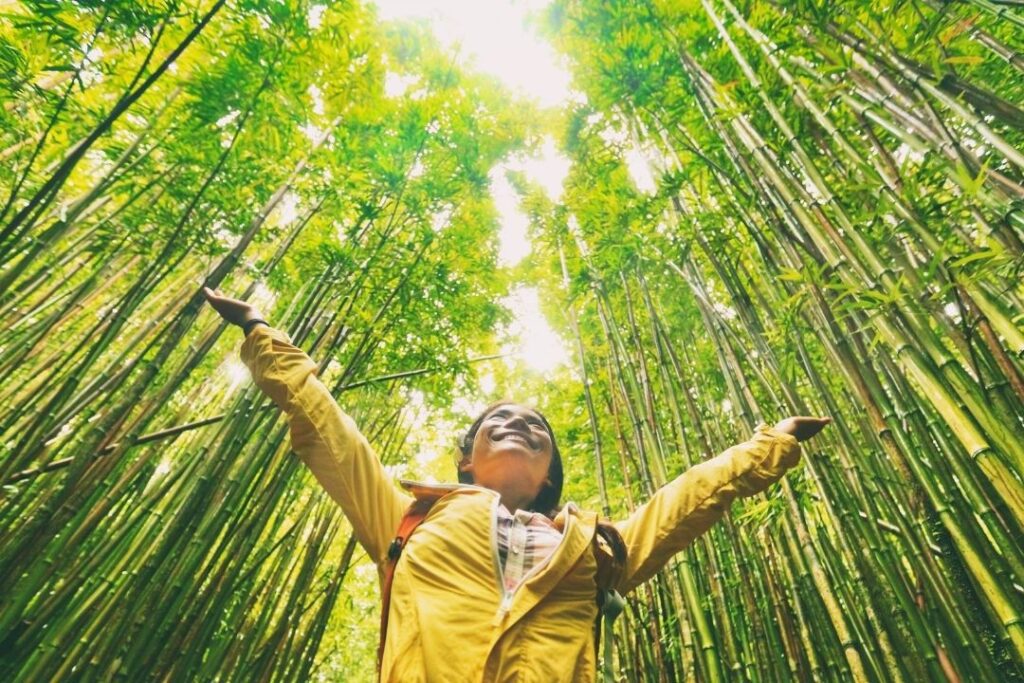 Virtuoso Travel: A Guide To Exclusive Perks & Benefits Hawaii Calling a woman standing in a forest with her arms outstretched