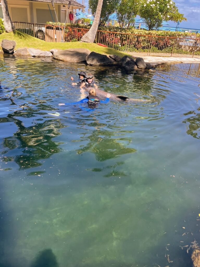 Review & Video: The Kahala Hotel and Resort, Presidential Luxury Hawaii Calling a group of people swimming in a body of water with a dolphin
