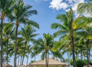 The 15 Best Hotels On Oahu For Families 2026 a group of people swimming in a pool with palm trees