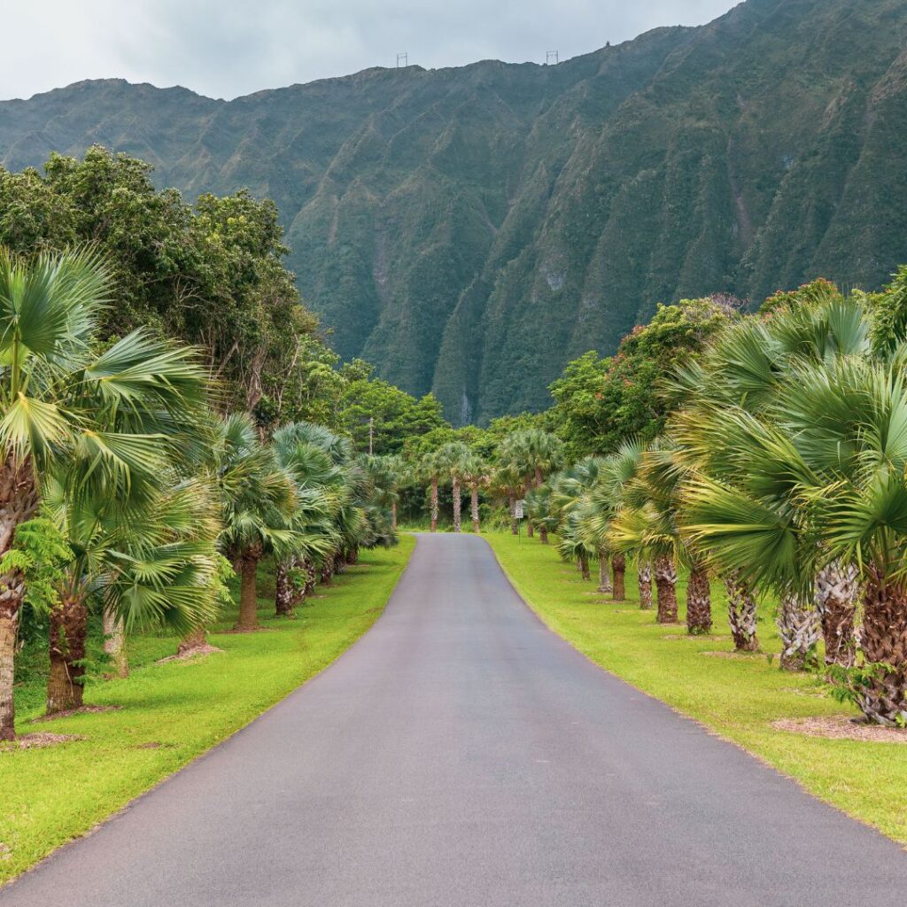 The Perfect Oahu 7 Day Budget Itinerary 2023 Hawaii Calling a road with palm trees and mountains in the background