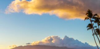 The Ultimate Maui Travel Guide 2023 a beach with palm trees and rocks