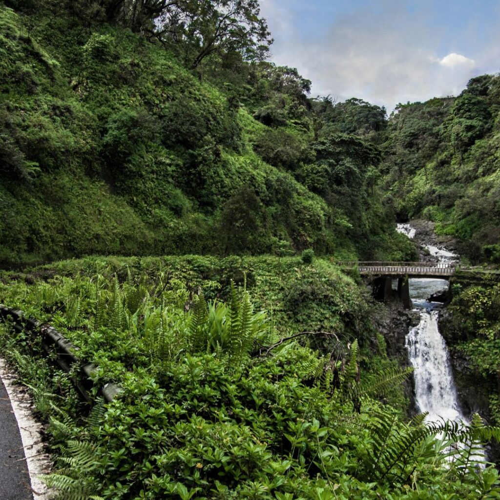 The Ultimate Maui Travel Guide 2023 Hawaii Calling The road to Hana, included on all Maui Travel Guide articles.