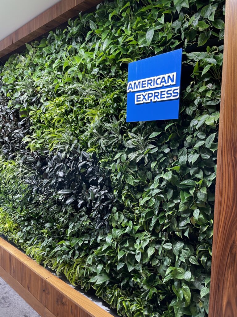 Review: American Express Centurion Lounge Phoenix - Small & Efficient Hawaii Calling American Express Centurion Lounge Phoenix Green Wall
