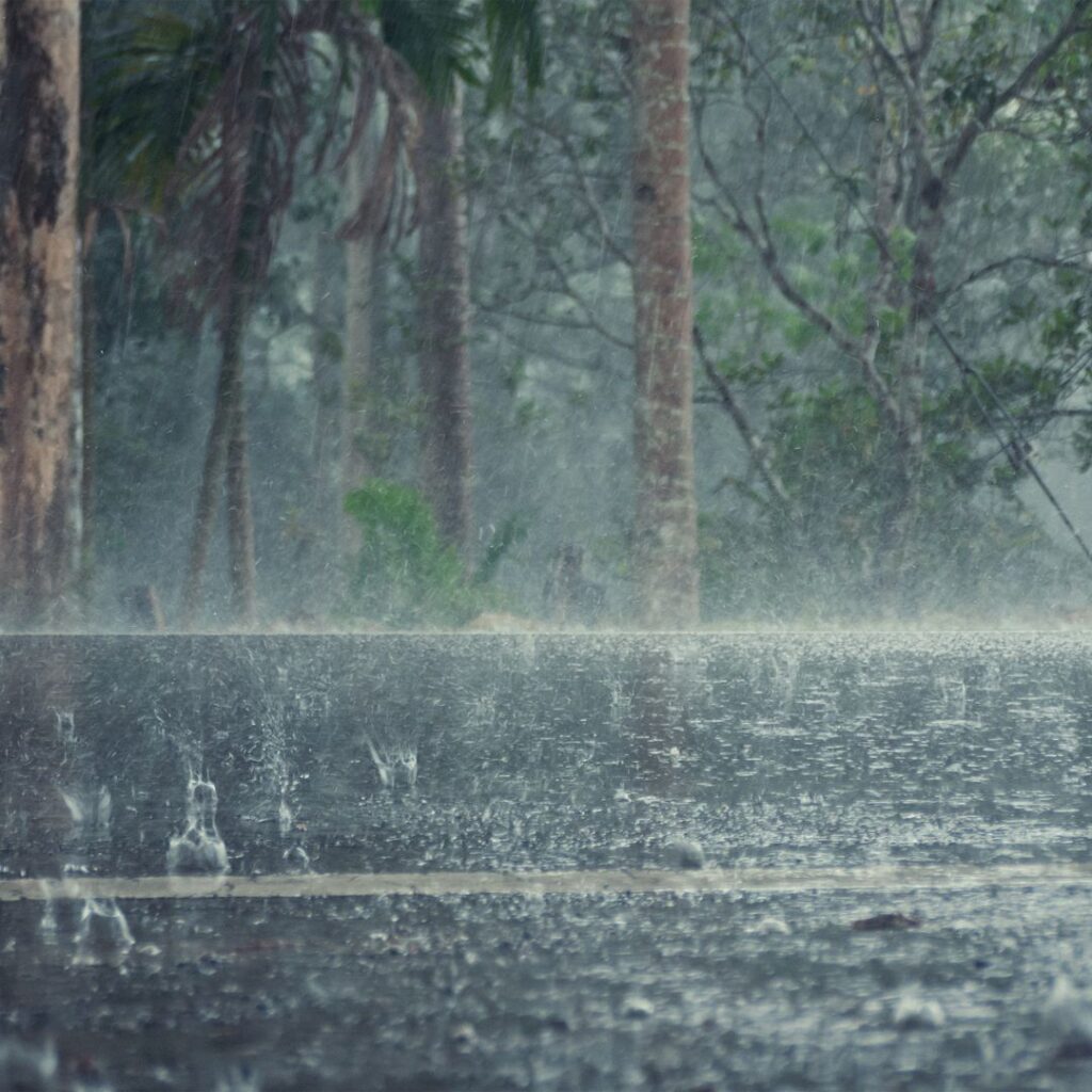 10 Essential Things to Pack For Your Trip To Hawai'i Hawaii Calling rain falling water in a forest