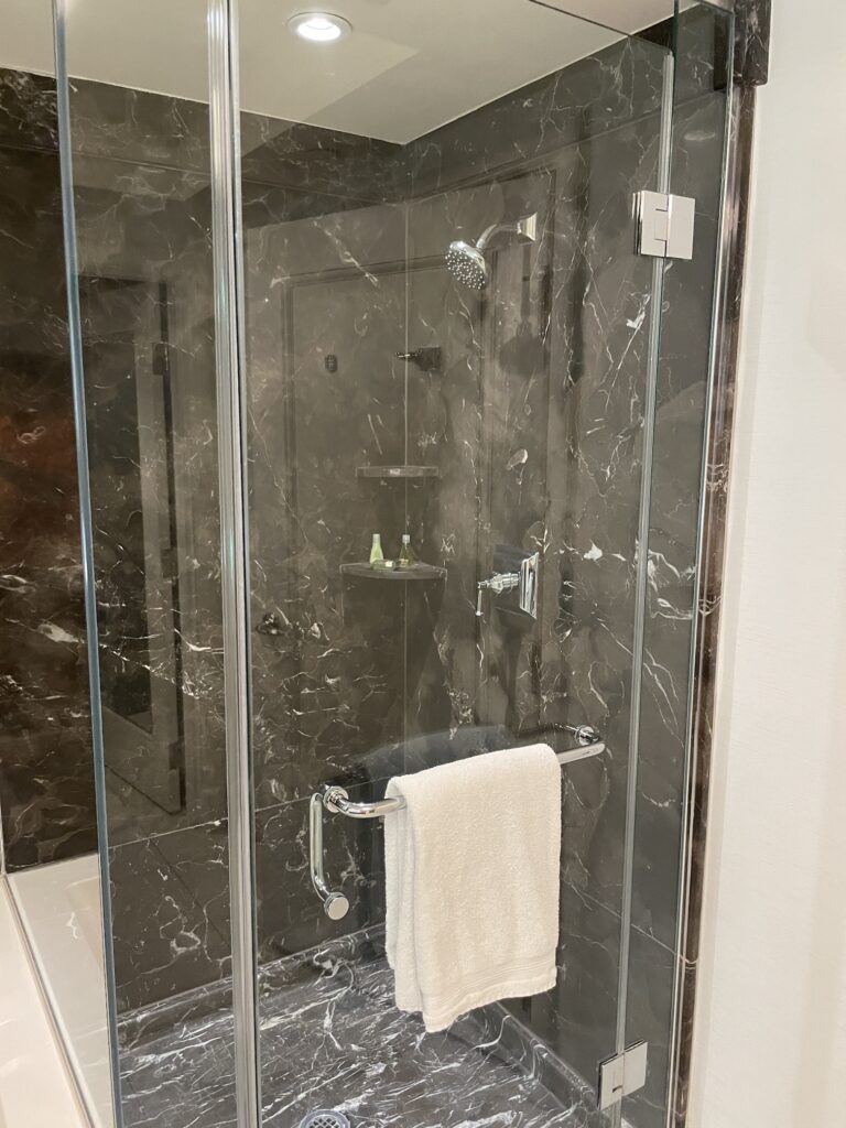 Delano Las Vegas Clean Air Oasis | Review & Video Hawaii Calling a shower with a towel on a bar