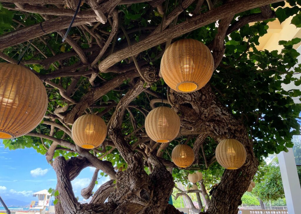 26 Best Places To Eat On Oahu, Hawaii | A Local Guide Hawaii Calling a tree with lanterns
