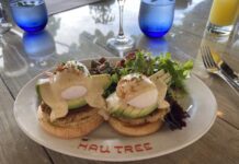 Relaxed Oceanside Hau Tree Brunch Review a plate of food on a table