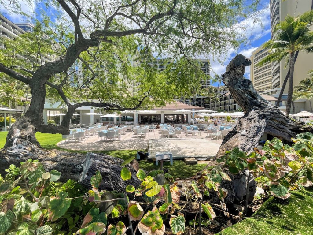 11 Best Sunday Brunch Buffets On Oahu Hawaii Calling a tree with chairs and tables in front of a building