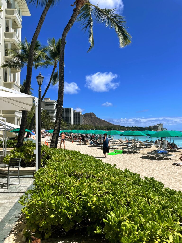 Legendary Sheraton Waikiki Vs. Moana Surfrider | 6 Things to Consider Hawaii Calling a beach with palm trees and umbrellas